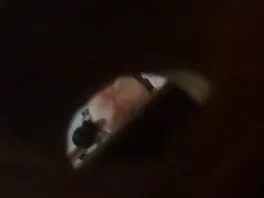 Alison Rey và Jade Kush liếm ở các vị sẽ phu de trí khác nhau