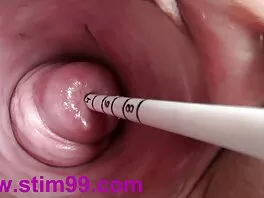 Lala Ivey cho thấy cô ấy nổi bật vòi nước bú kỹ phim cap 3 co phu de năng